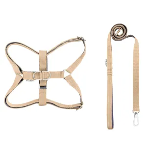 Bowl and Bone Active Beige Dog Harness and Lead Set