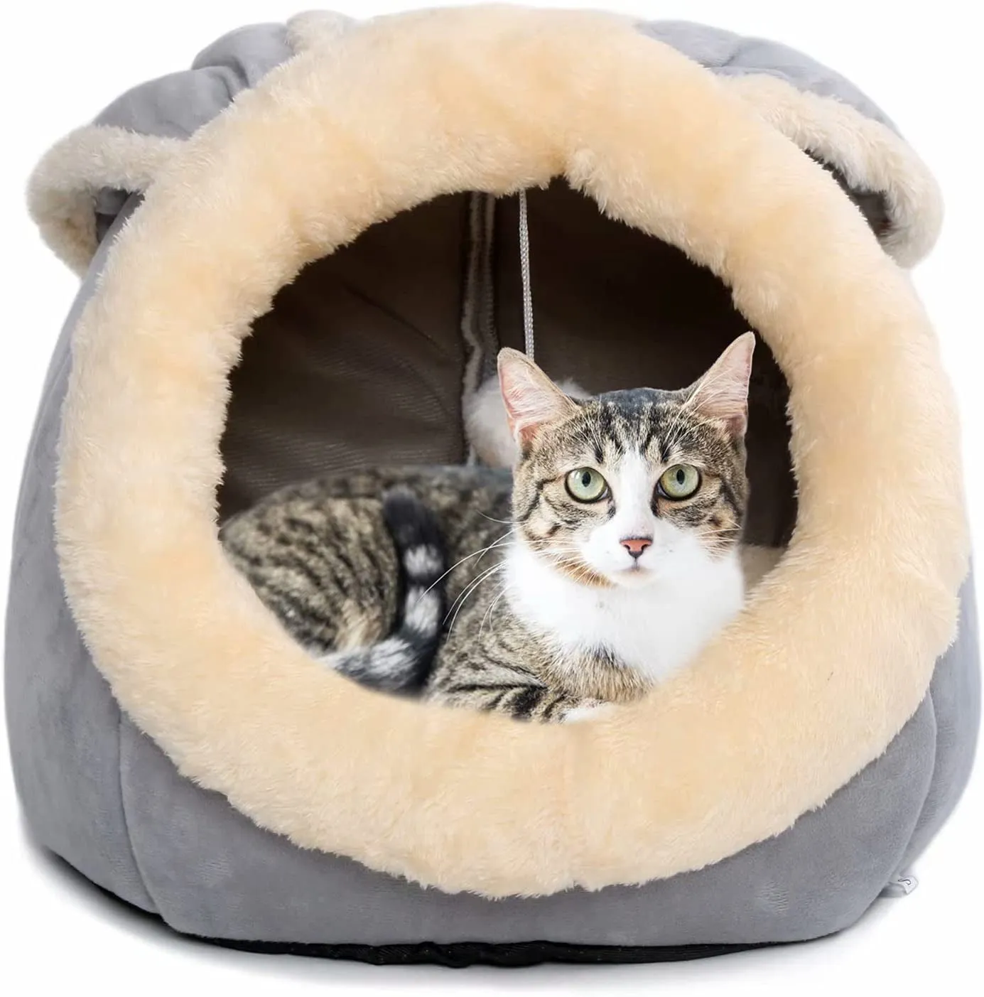 Cat Beds for Indoor Cats