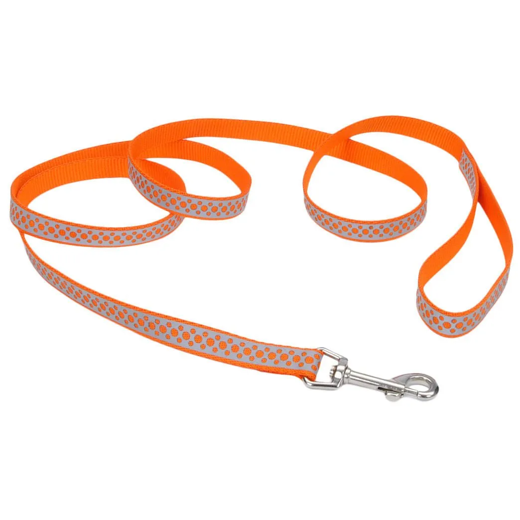 Coastal Pet Lazer Brite Dog Leash, 6' x 1"