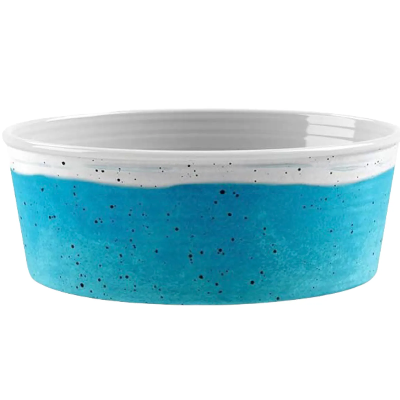 desert wash speckle bowl - blue