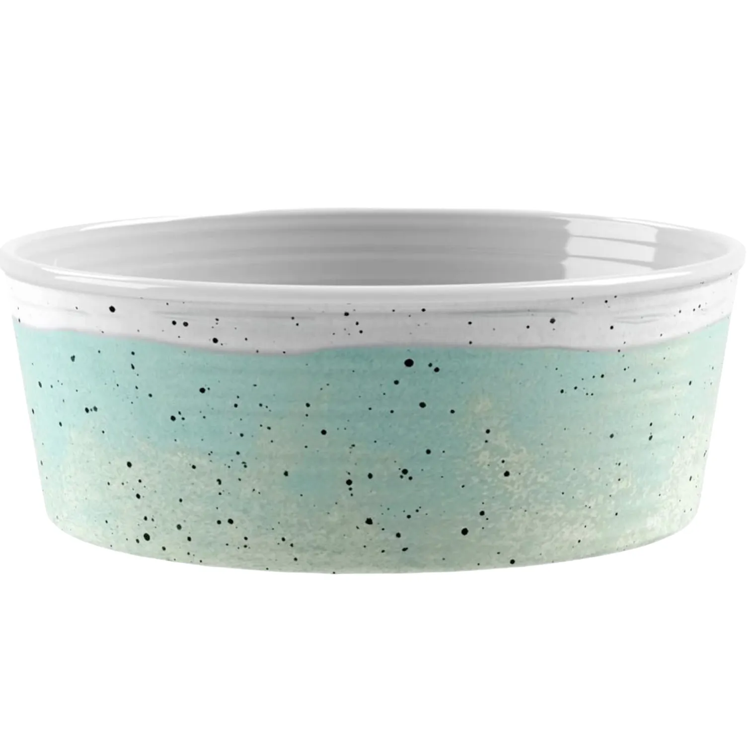 desert wash speckle bowl - mint