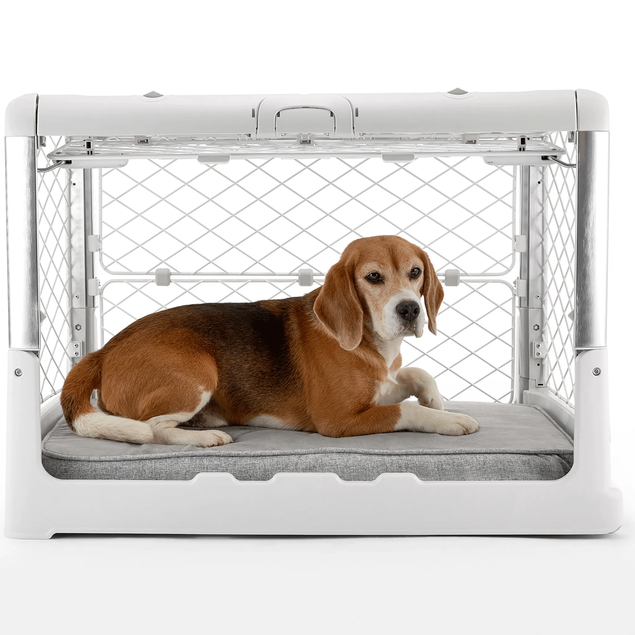 Diggs Revol Collapsible Dog Crate - Ash