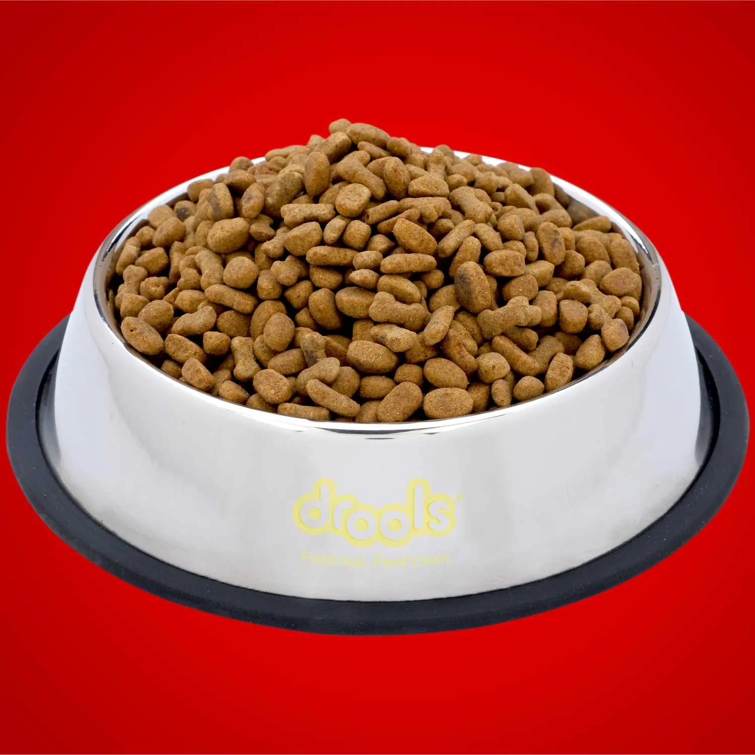 Drools Stainless Steel Feeding Bowl for Cats