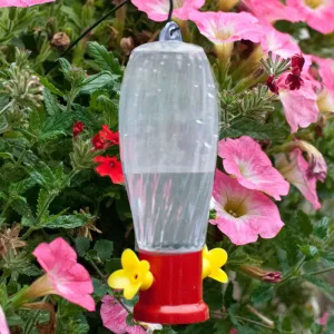 Garden Stake Hummingbird Feeder & Hanging Rod