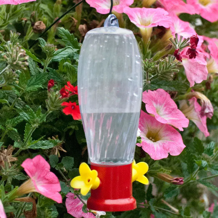 Garden Stake Hummingbird Feeder & Hanging Rod