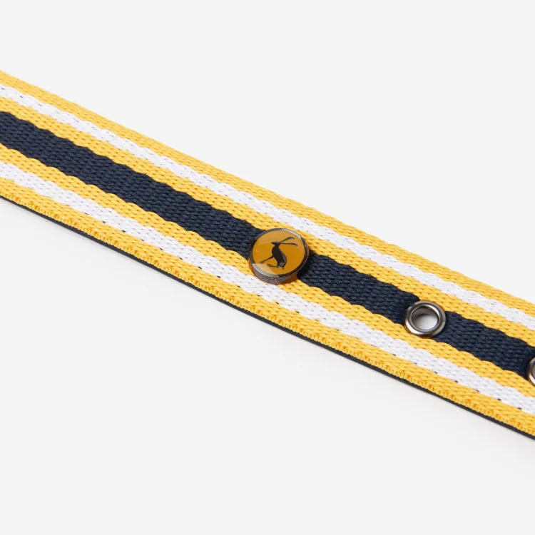 Joules Coastal Dog Collar - Yellow Stripe