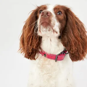 Joules Leather Dog Collar - Fuschia