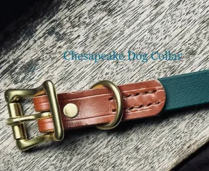 Leather   Biothane Collar   Leash Set Two tone Forest Green & Sedgwick English Bridle Veg Tanned Hazel Wear Over the Shoulder Leash w/Solid Brass