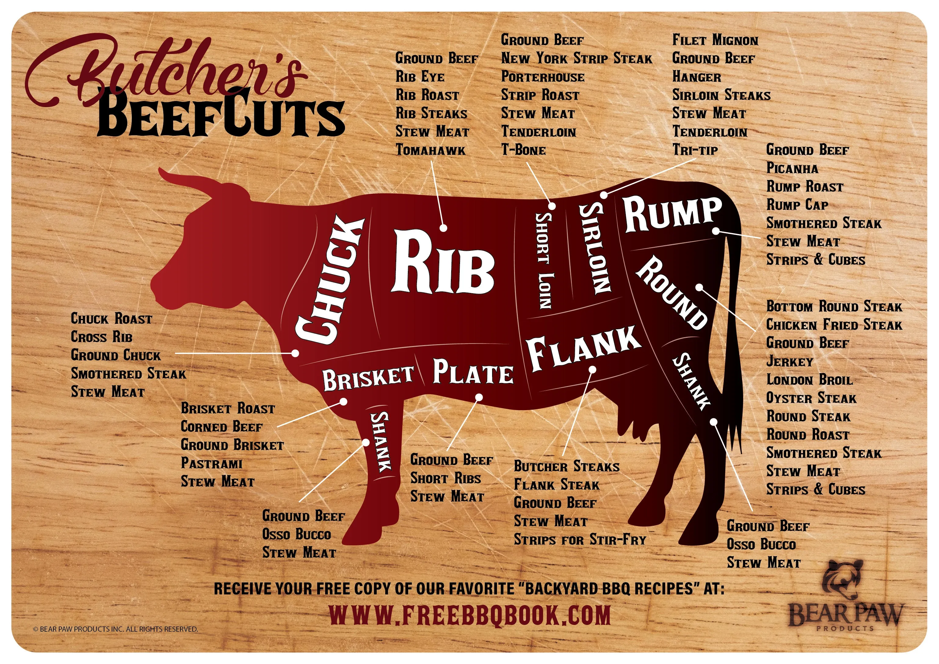 Meat Cuts Magnet - Beef