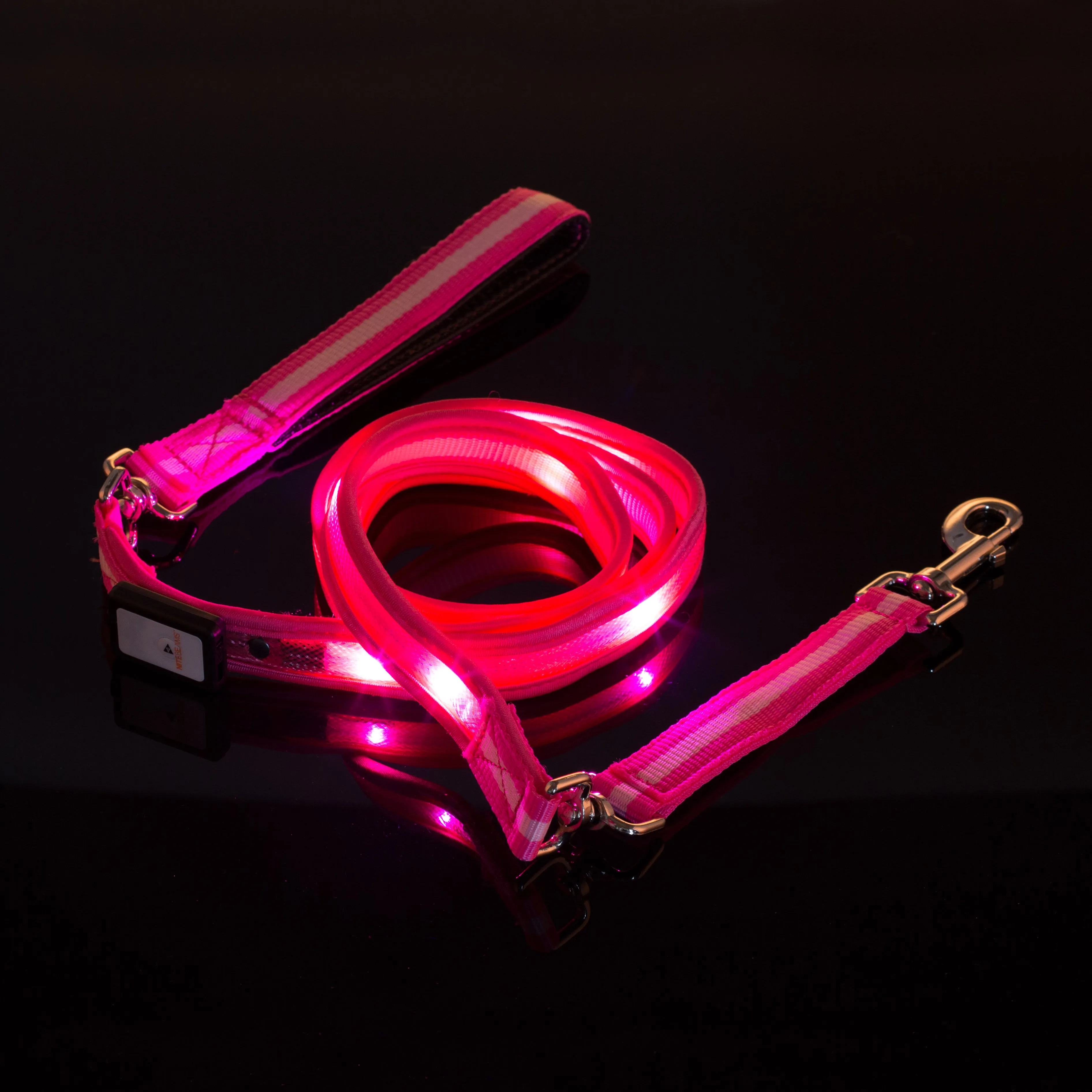 Nite Beams LED USB Rechargeable Lighted Dog Leash