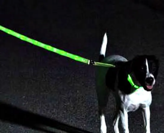 Nite Beams LED USB Rechargeable Lighted Dog Leash