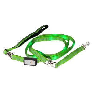 Nite Beams LED USB Rechargeable Lighted Dog Leash