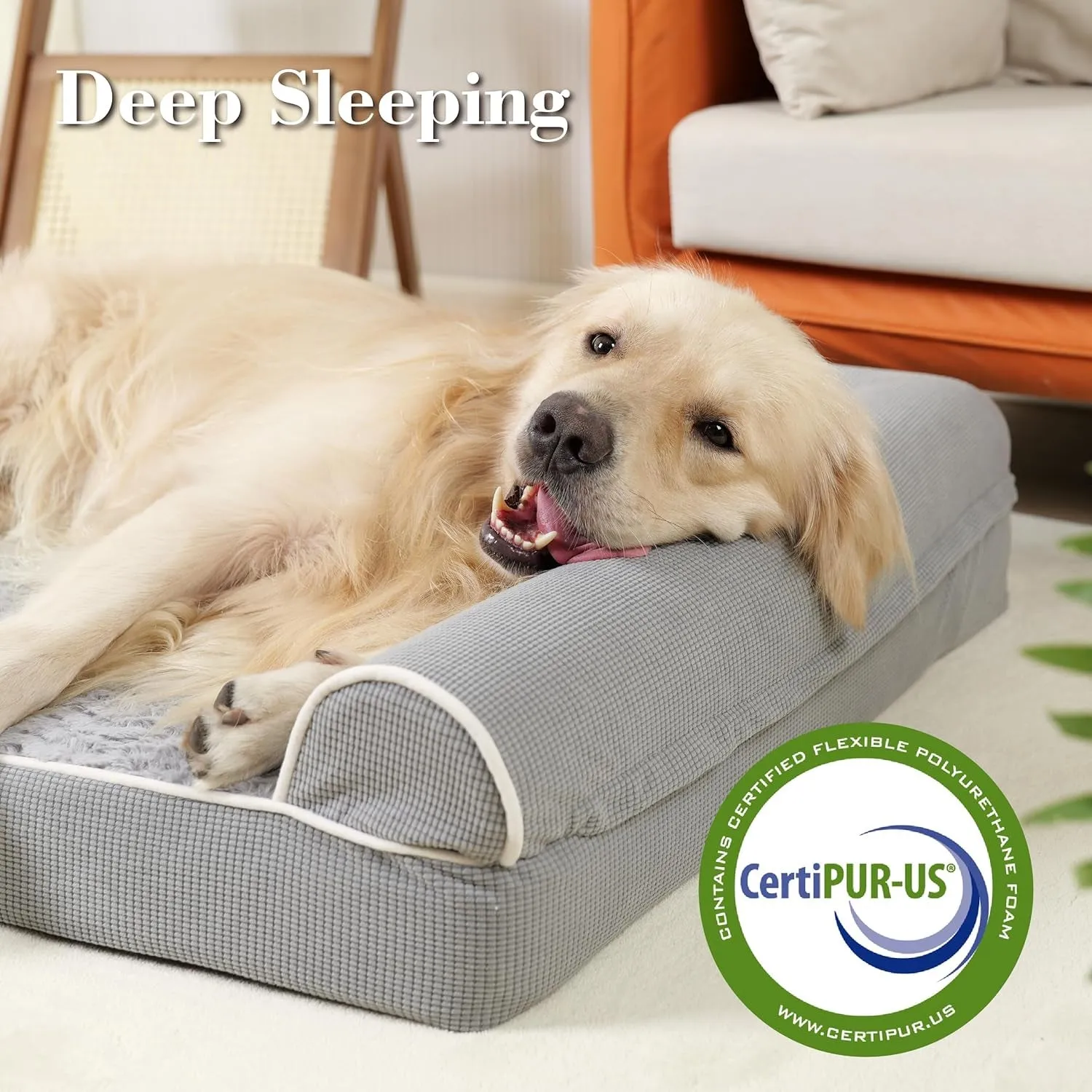 Orthopedic Dog Beds