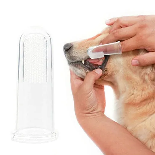 Pawsindia finger Toothbrush for Dogs and Cats