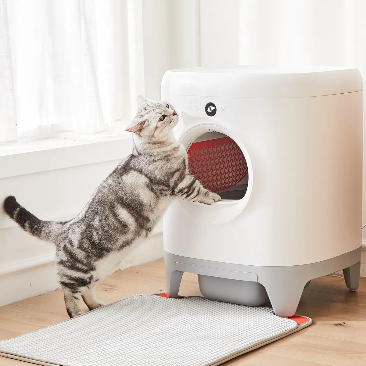 PETKIT PURA x Automated Self-Clean Cat Litter Box