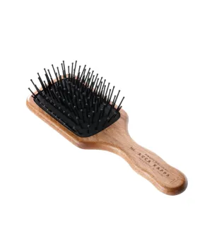 Pneumatic Travel Brush