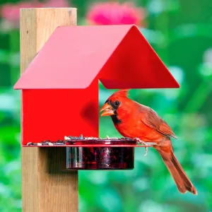 Red Metal & Glass House Bird Feeder