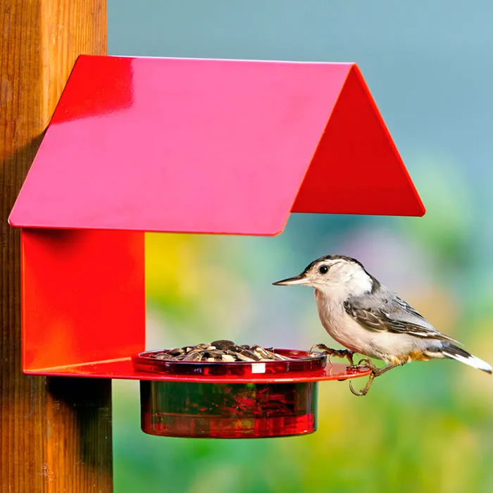 Red Metal & Glass House Bird Feeder