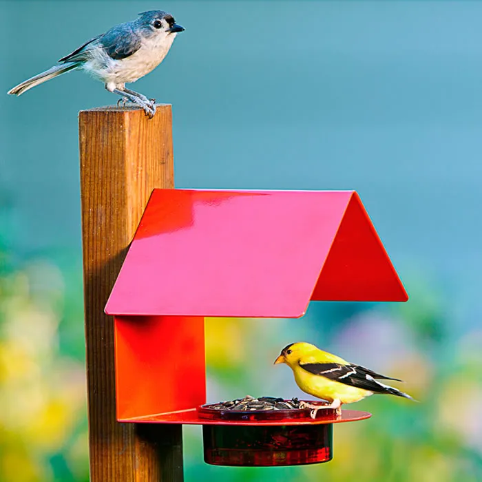 Red Metal & Glass House Bird Feeder