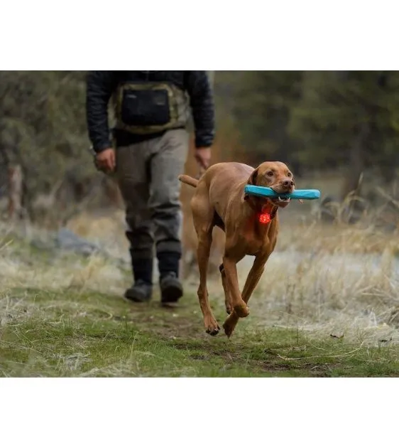 Ruffwear The Beacon™ Waterproof LED Safety Collar Light