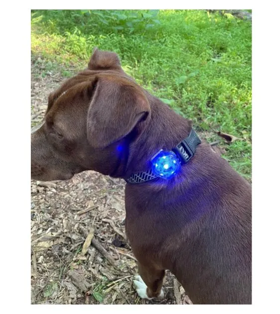 Ruffwear The Beacon™ Waterproof LED Safety Collar Light