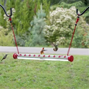 Smart Hummingbird Feeder For Outdoors