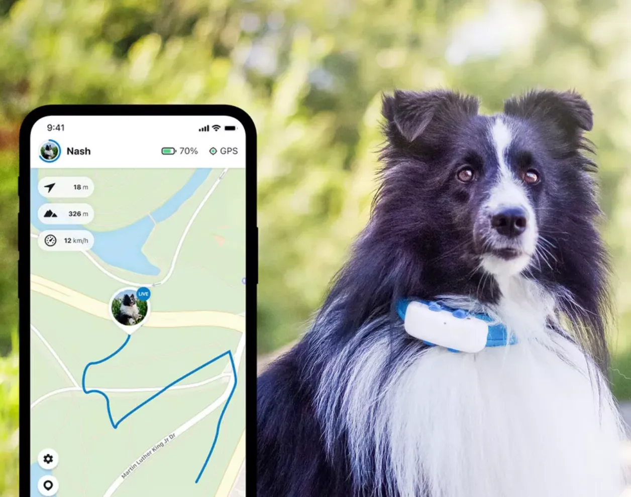 Tractive GPS for Cats and Dogs