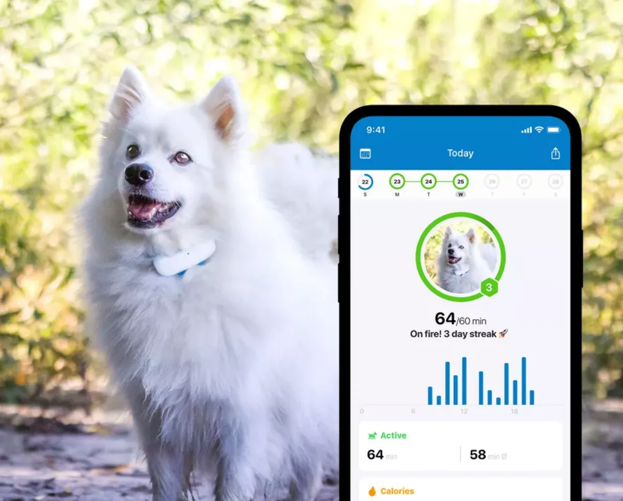 Tractive GPS for Cats and Dogs