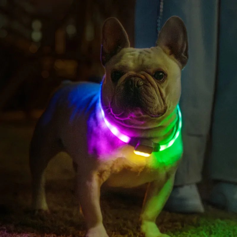 USB Rechageable Light Up Dog Collars for Night Walking (L)