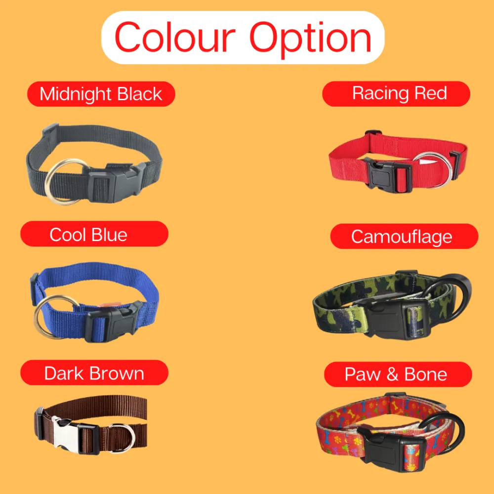 Vama Leathers Night Visible Reflective All Weather Everyday Collar for Dogs (Shiny Black)